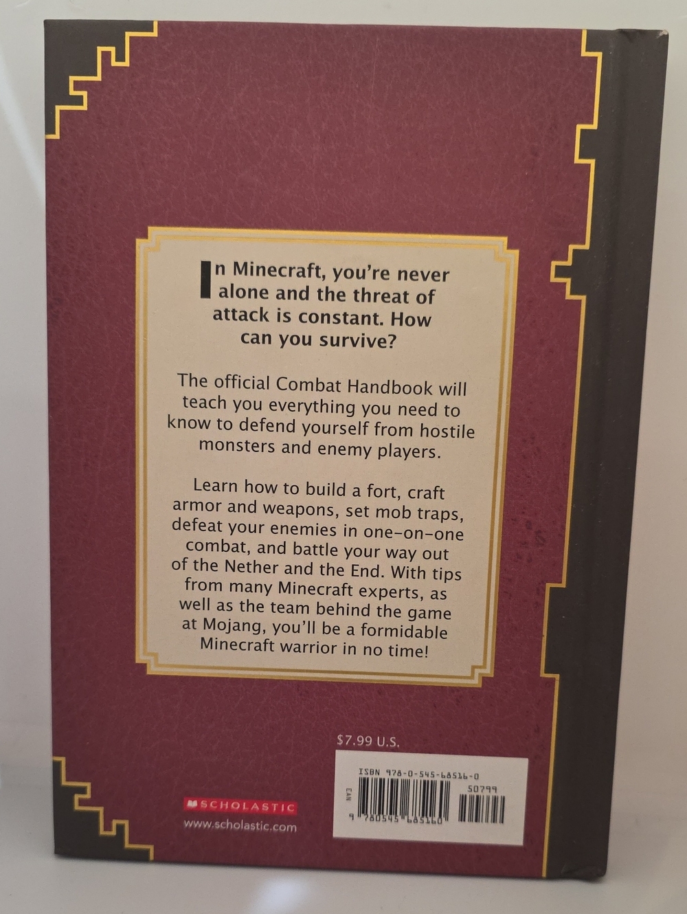 MINECRAFT - Picture 10 of 14